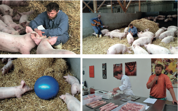 Cochons Lycée Saint-Lô Thère ACDS Cochons Lycée Saint-Lô Thère ACDS