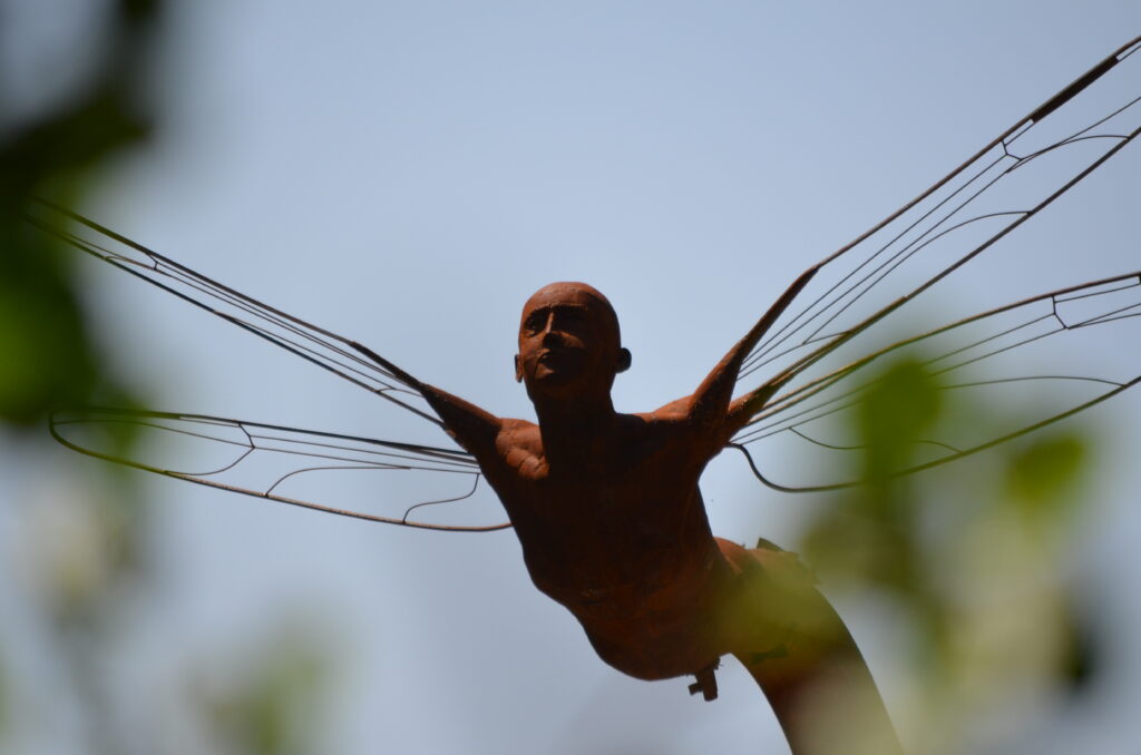 12 - Juan-Miguel Cubas - Metamorphosis, 2018